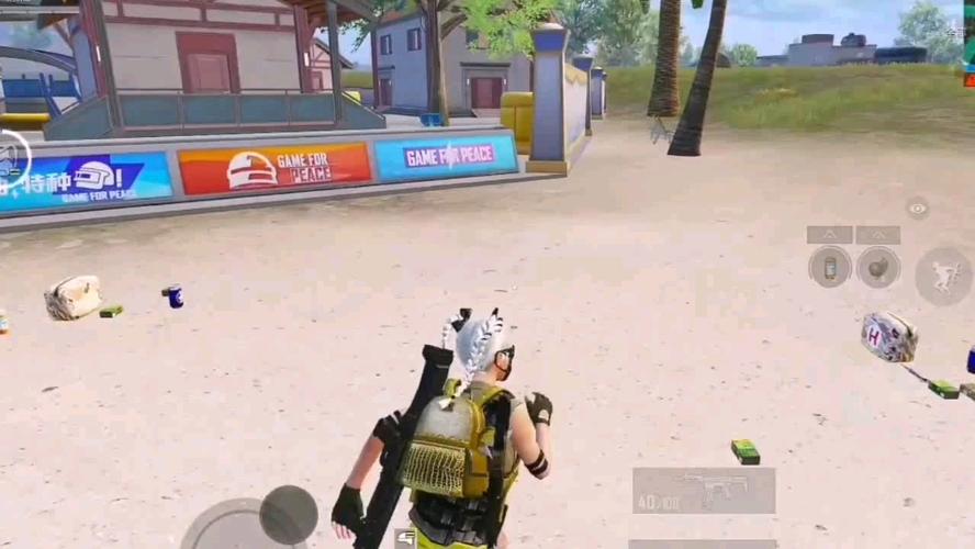 和平精英辅助【内部G简洁版】